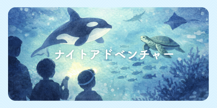 ベネフィット会員限定３０周年特別企画｜鴨川シーワールドのナイトアドベンチャー